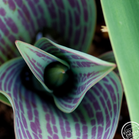 Method of no inhalation