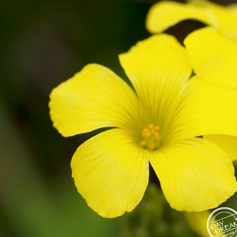 Have little time to relax