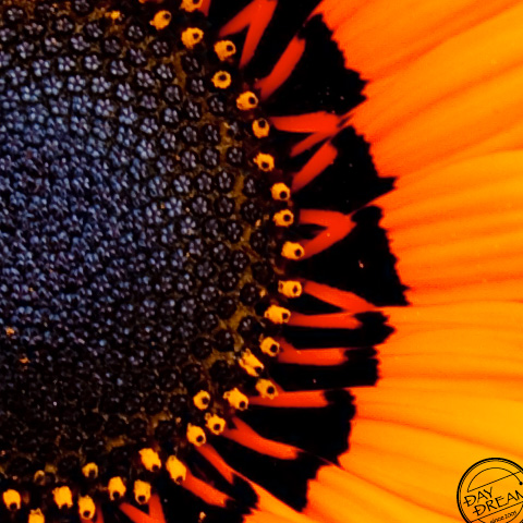 White cloud floating in the blue sky