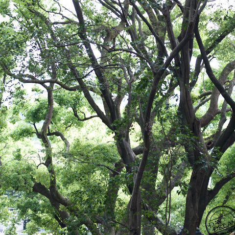 Did you have a nice nap?